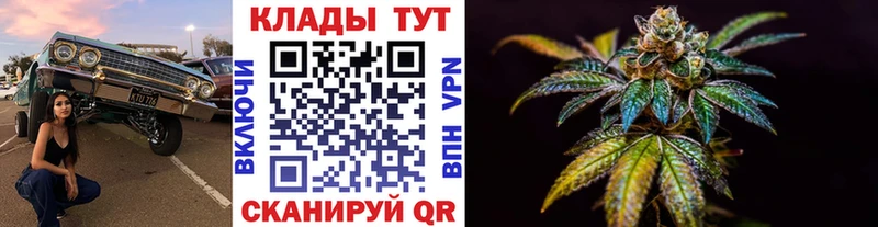 Купить закладку Вязники A PVP  Псилоцибиновые грибы  ГАШ  Мефедрон 