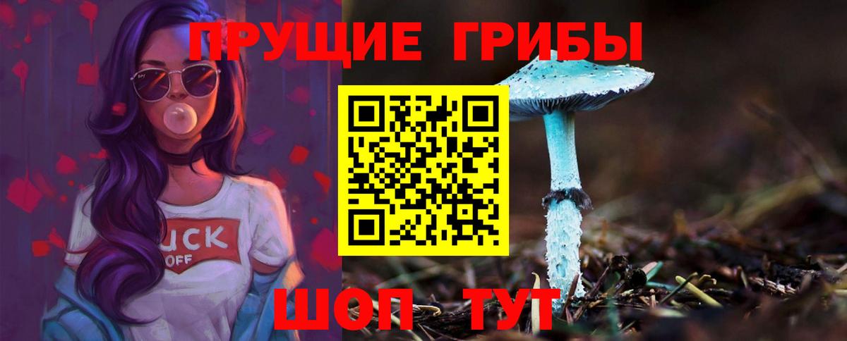 Вязники  Галлюциногенные грибы Magic Shrooms  Галлюциногенные грибы мухоморы  Вход с VPN 